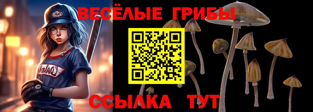 Галлюциногенные грибы Magic Shrooms  Вход с VPN  купить наркотик  Балашиха  Галлюциногенные грибы мухоморы 